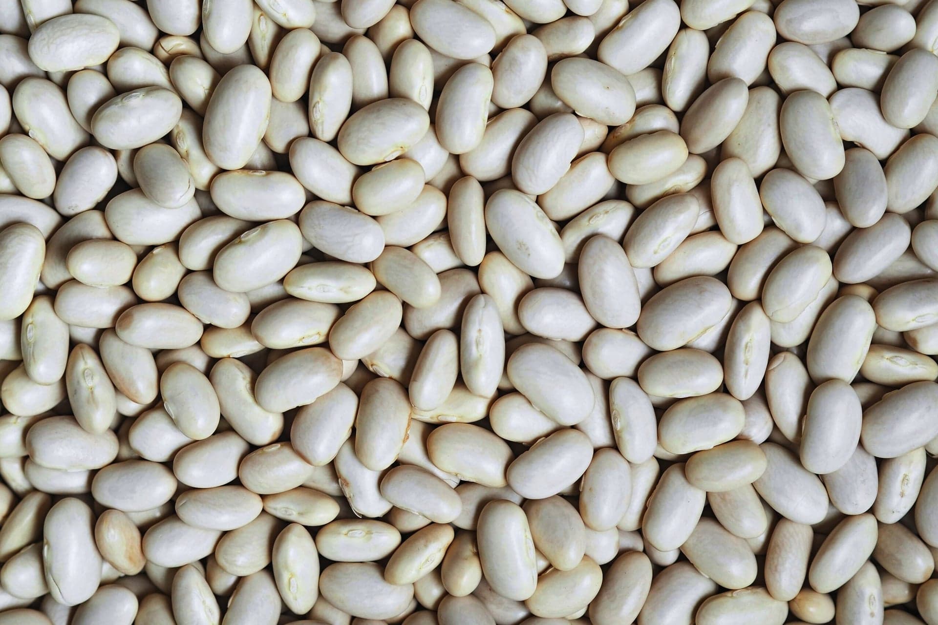 Analyser af råvarernes miljø- og klimabelastning hos ISS